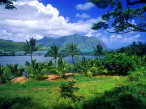 Hawai, algo bíblico si que parece: ¡el paraiso!