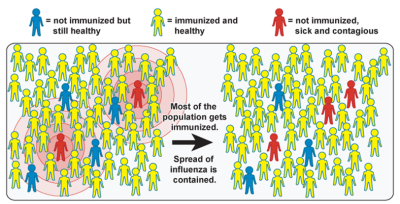 inmunidad de grupo
