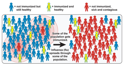 inmunidad individual